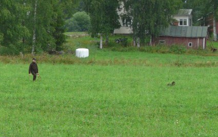 Seppo ja Pimu