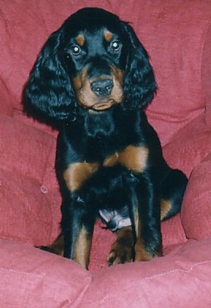 �ens Roope