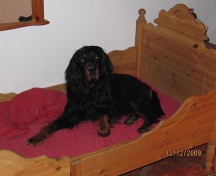 Mik�s t�ss� on makoillessa!