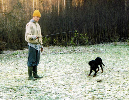 Koulutusta