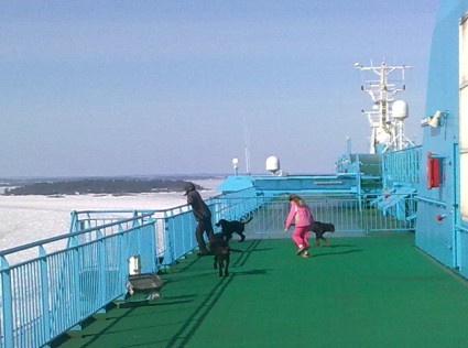 Laivalla