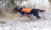 Puronper�n Nen�