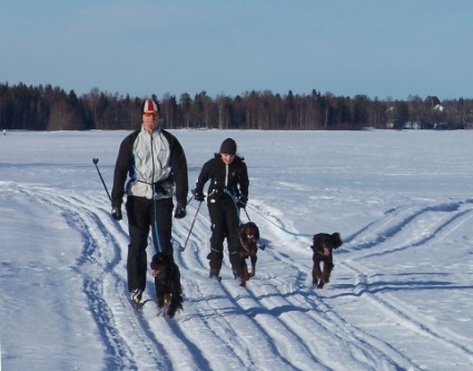 Talvitreeni�
