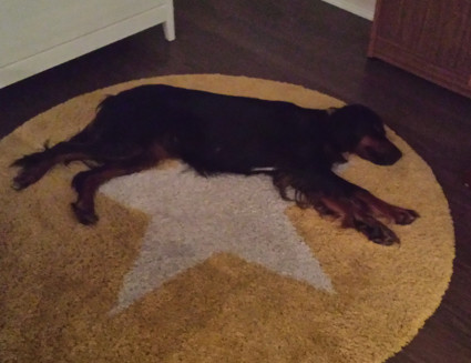 Vattu