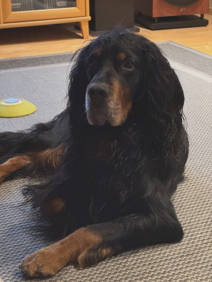 Hönö