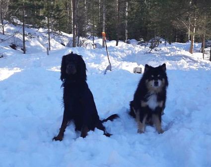 Aarre ja Unski