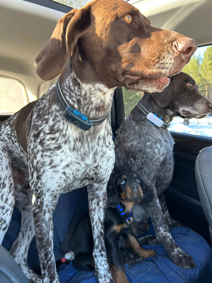 Uuno and the bodyguards