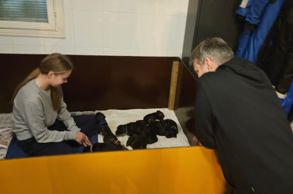 Anni ja Mikko