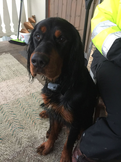 Roki