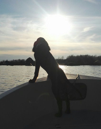 Ero veneretkell�