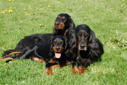3 sukupolvea