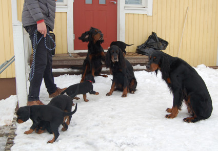3 sukupolvea