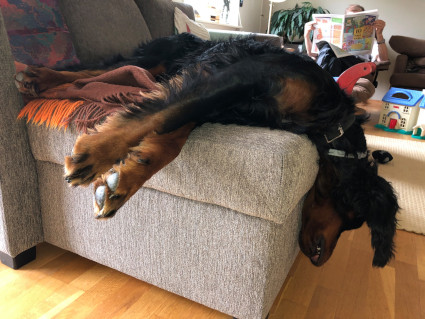 Roki