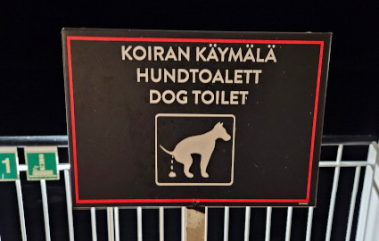 Kyltti