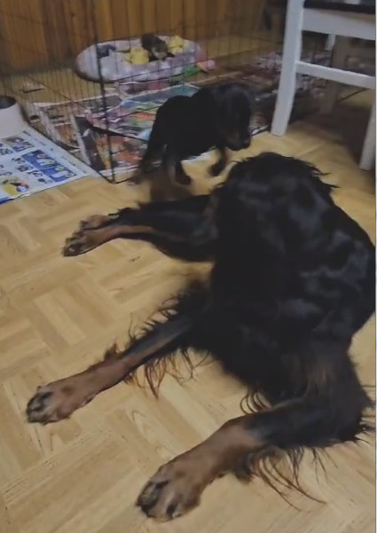 Lumo ja Ruska
