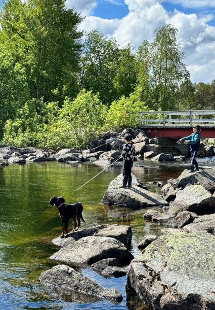 Nalakin ulkomailla