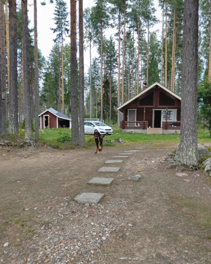 Kuivattelua