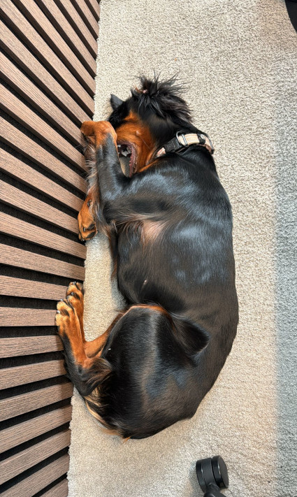 Nala