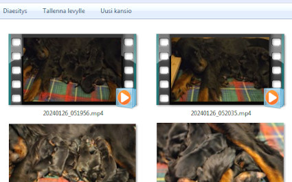 Videoita