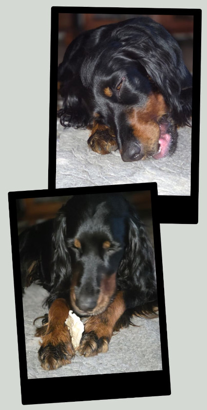 Fanny