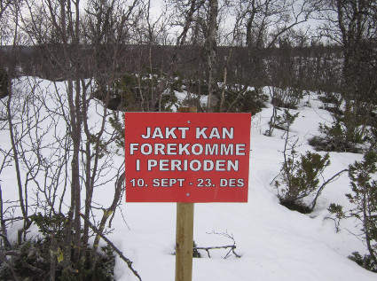 Vaara!