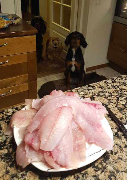 Nam!