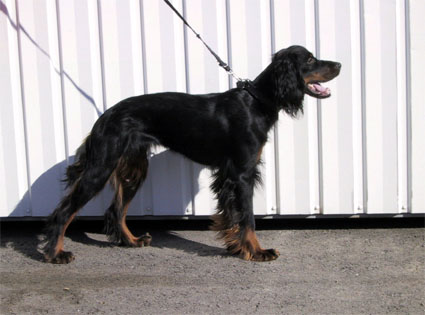Kiusa 1 v