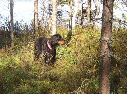 Katja l�yt�nyt jotain kiinnostavaa