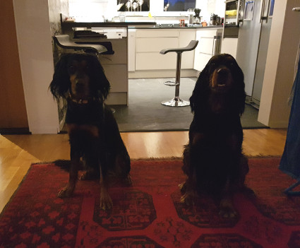Myrtti ja Iris
