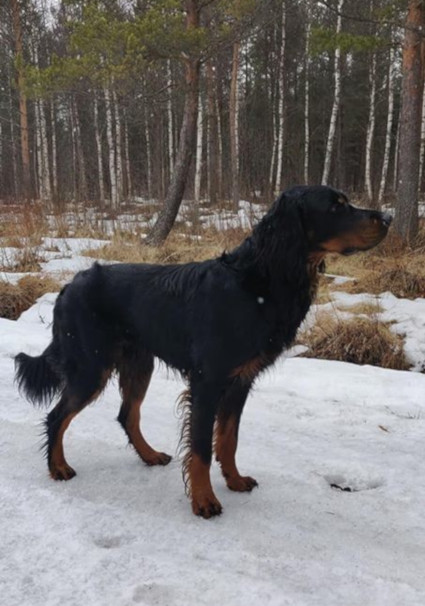 Luca