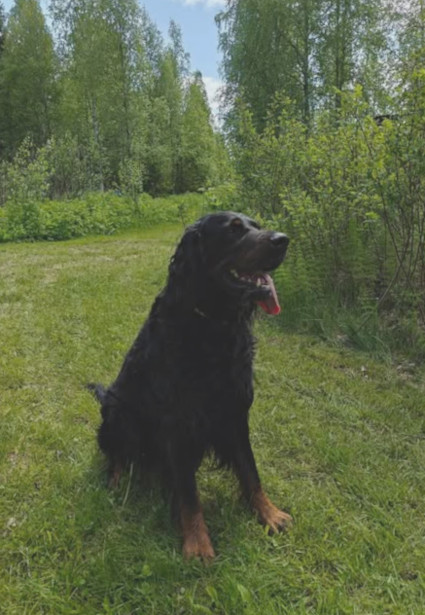Luca