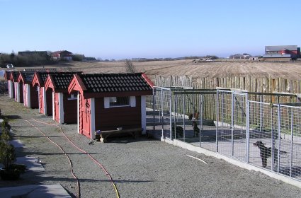 Koiratarhat