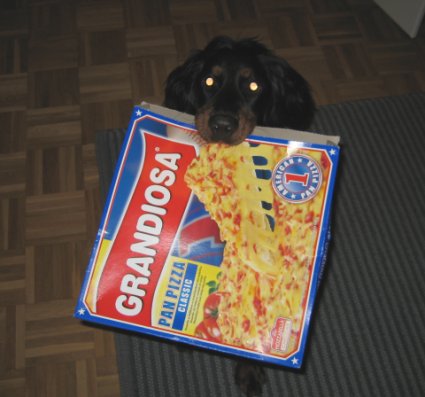Pizzaperjantai!