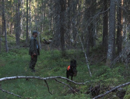 Mimmi ja Olga mets�treeneiss�