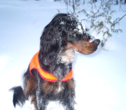 Pimu vuoden ensimm�isen� p�iv�n�