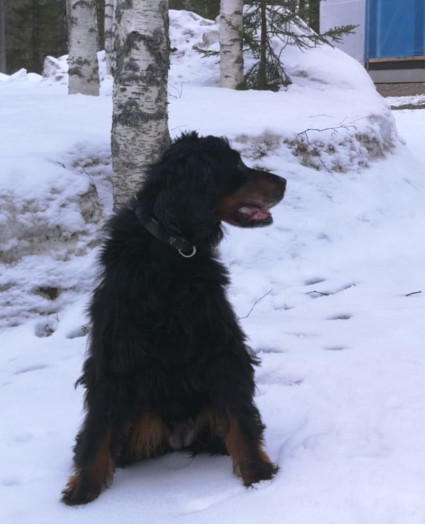 Olga