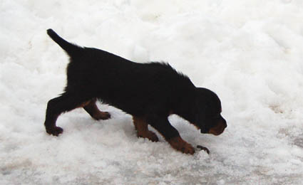 Pelottava tuttavuus