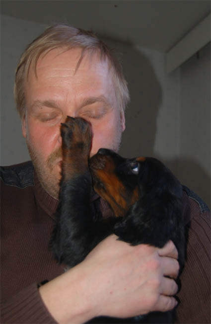 Tapani