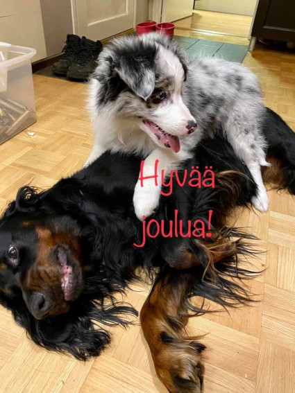 �sa ja uusi kaveri