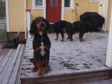 Isla