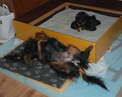 Vattu lep��