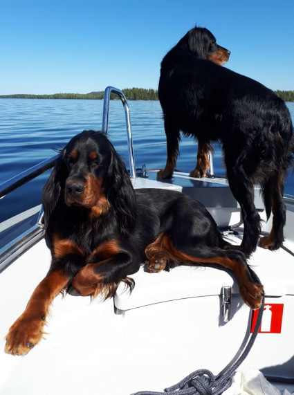 Vinka ja Elma