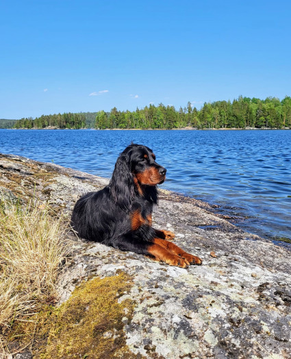 Vinka nauttii