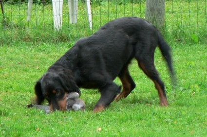 Tartuntaote