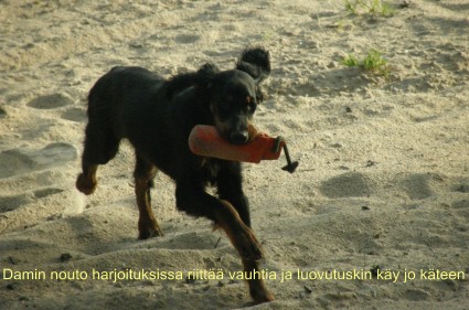 Nouto loppukes�st� 2009