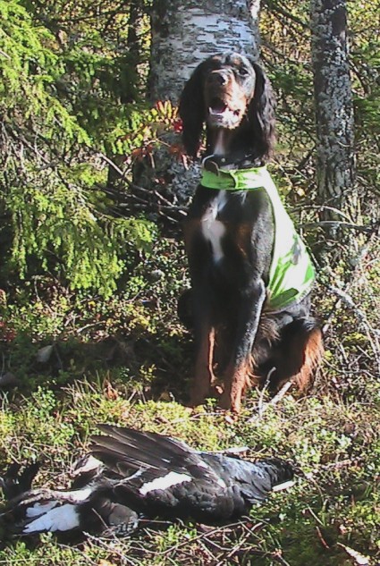 Ruska jahdissa