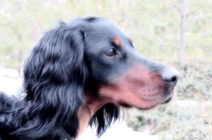Ruska