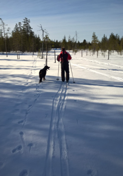 Hyvi� jahteja, Sami!