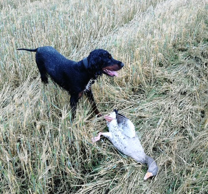 Ruska jahdissa