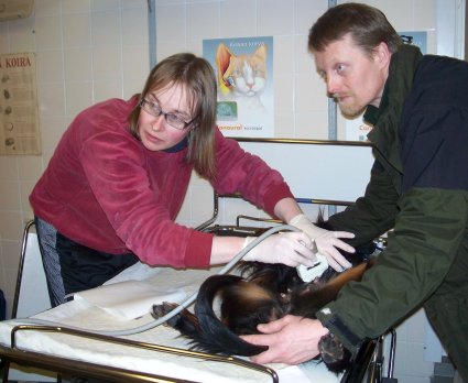 Silm� kovana seurataan mit� ultrassa n�kyy